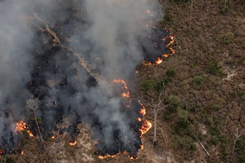 Brasil registros pior julho incêndio duas décadas