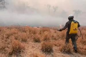 Chuva umidade focos de incêndio Pantanal fogo subterrâneo