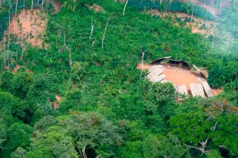Desmatamento Amazônia sobe julho cai anual