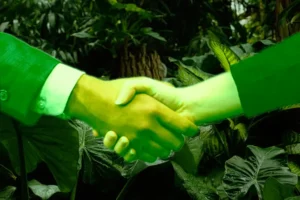 Empresários brasileiros pacto pela natureza liderança do Brasil COP30