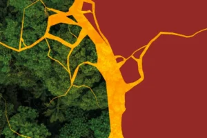 Garimpo disputa eleitoral cidades do ouro Amazônia