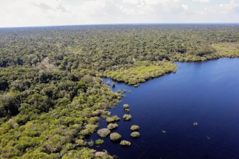 Governo plenárias Plano Clima Participativo