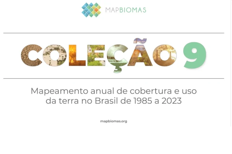 MapBiomas Coleção 9