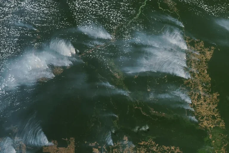 NASA colunas de fumaça Pantanal