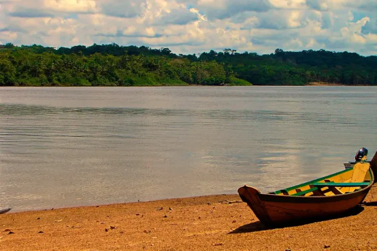 Os efeitos do avanço da exploração de combustíveis fósseis sobre a Amazônia