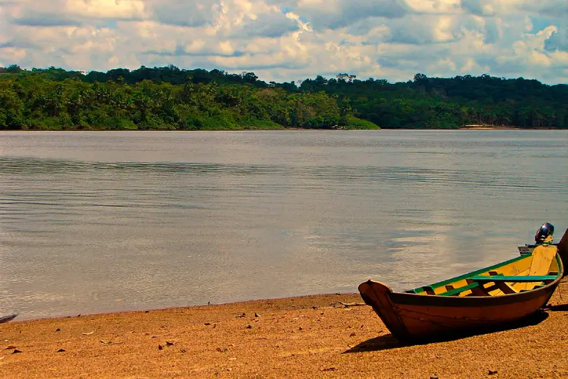 Os efeitos do avanço da exploração de combustíveis fósseis sobre a Amazônia