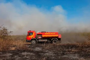 Pantanal chamas bioma focos de incêndio agosto