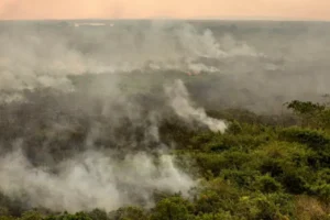 Pantanal em chamas_ área atingida por incêndios supera 1 milhão de hectares