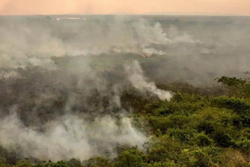 Pantanal em chamas_ área atingida por incêndios supera 1 milhão de hectares