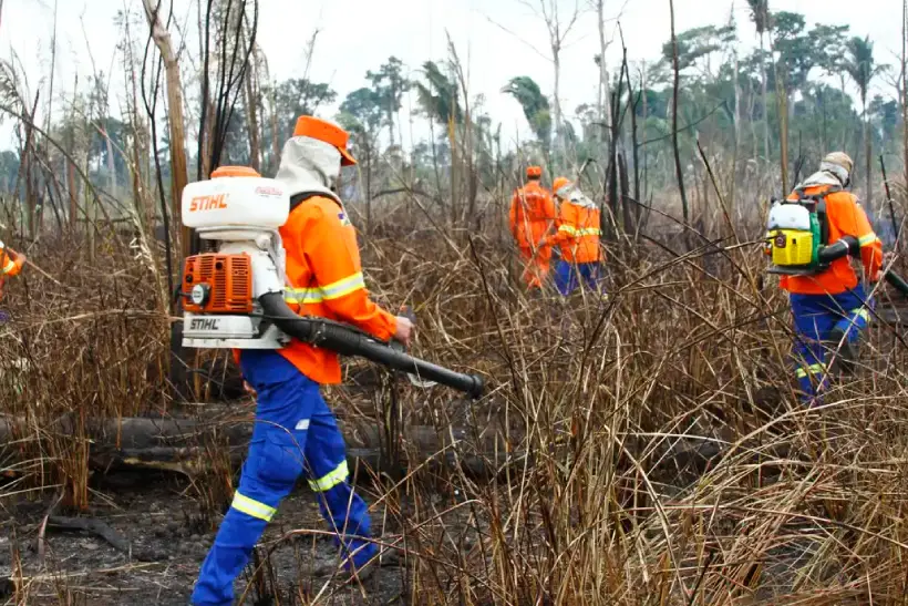 Pará Rondônia emergência fogo