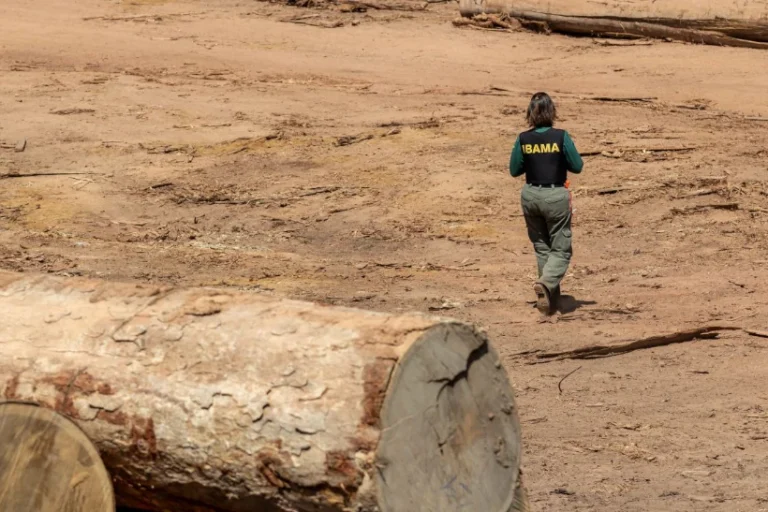 greve servidores fim
