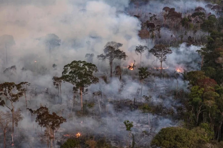 queimadas Amazônia