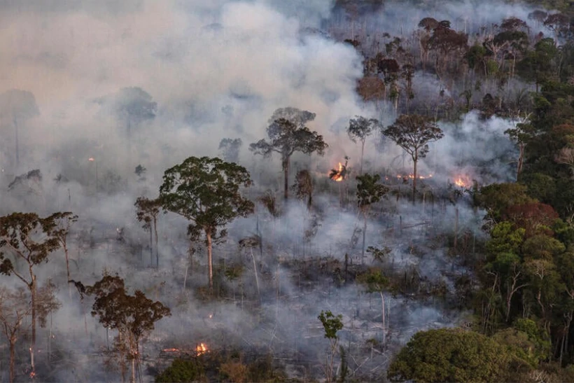 queimadas Amazônia