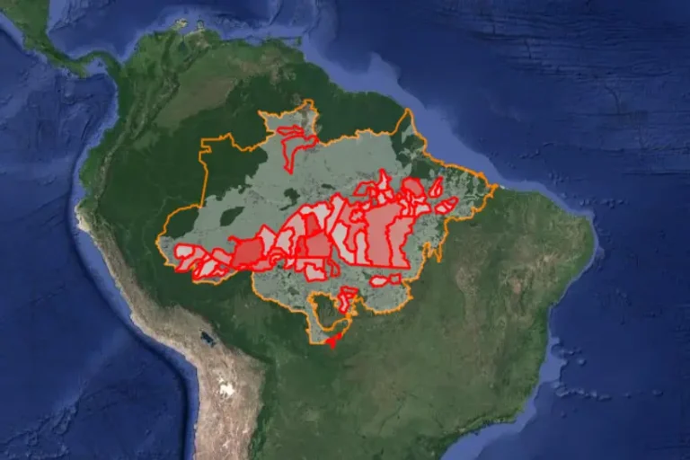 Amazônia 5 milhões de hectares queimados