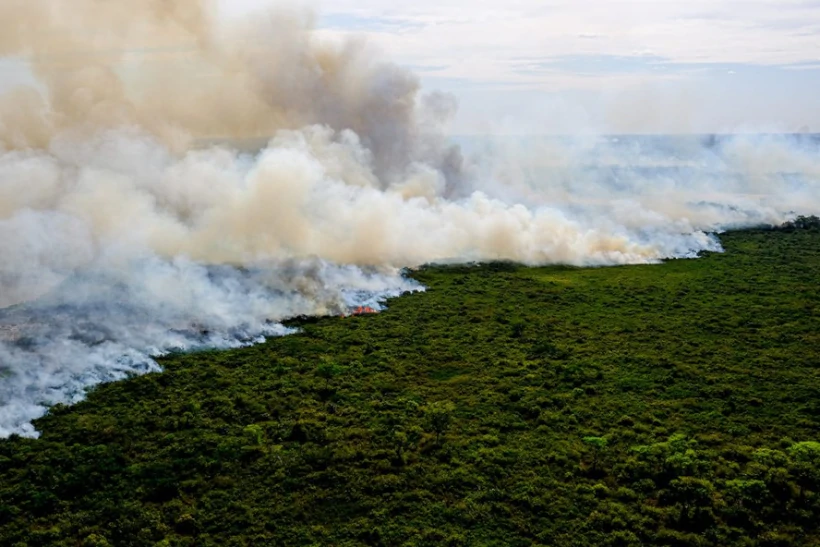 Amazônia Pantanal recorde emissões