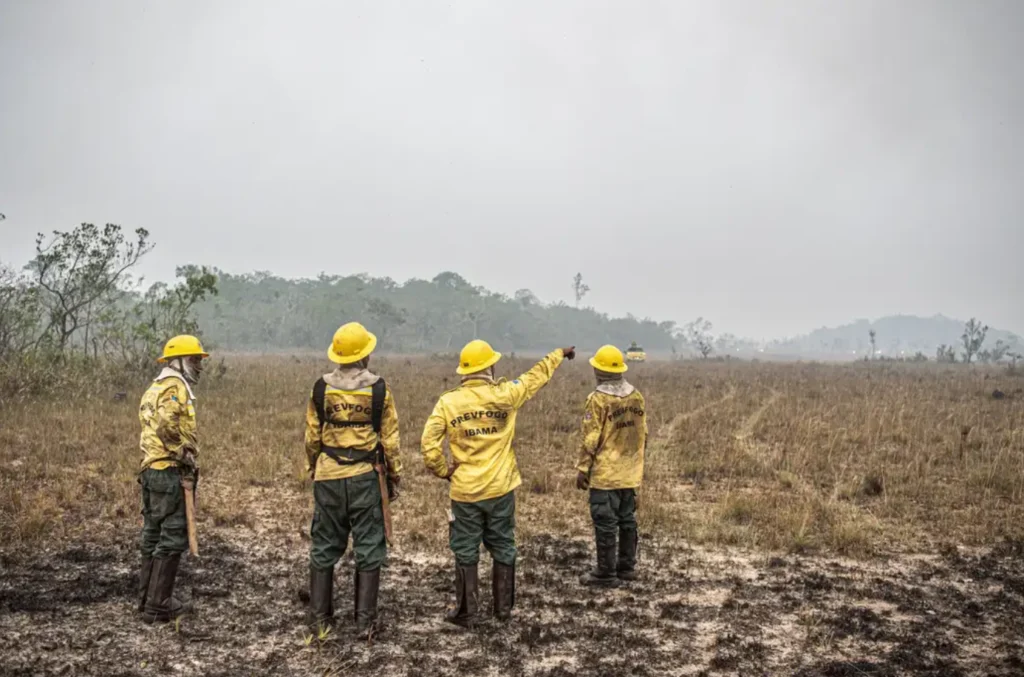 Brasil chamas Flavio Dino regime emergência climática combate a incêndios