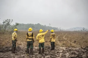 Brasil chamas Flavio Dino regime emergência climática combate a incêndios