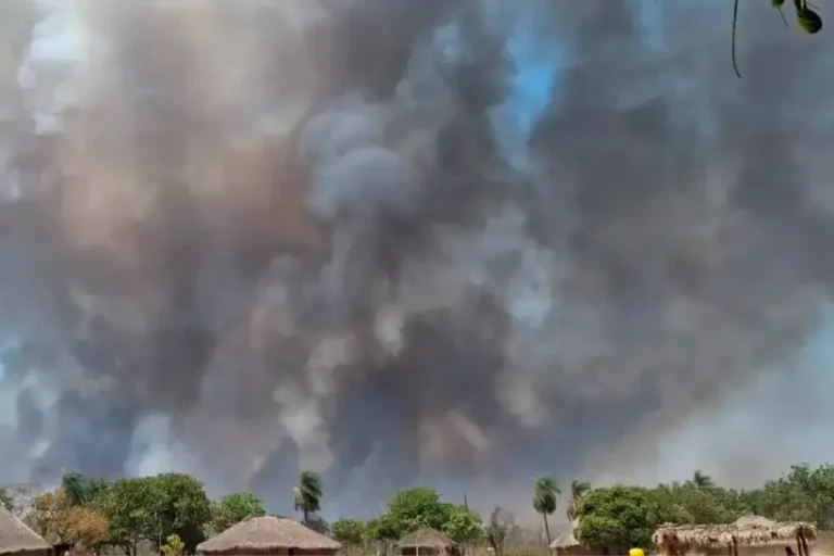 Brasil chamas TI Kayapó área tomada pelo fogo