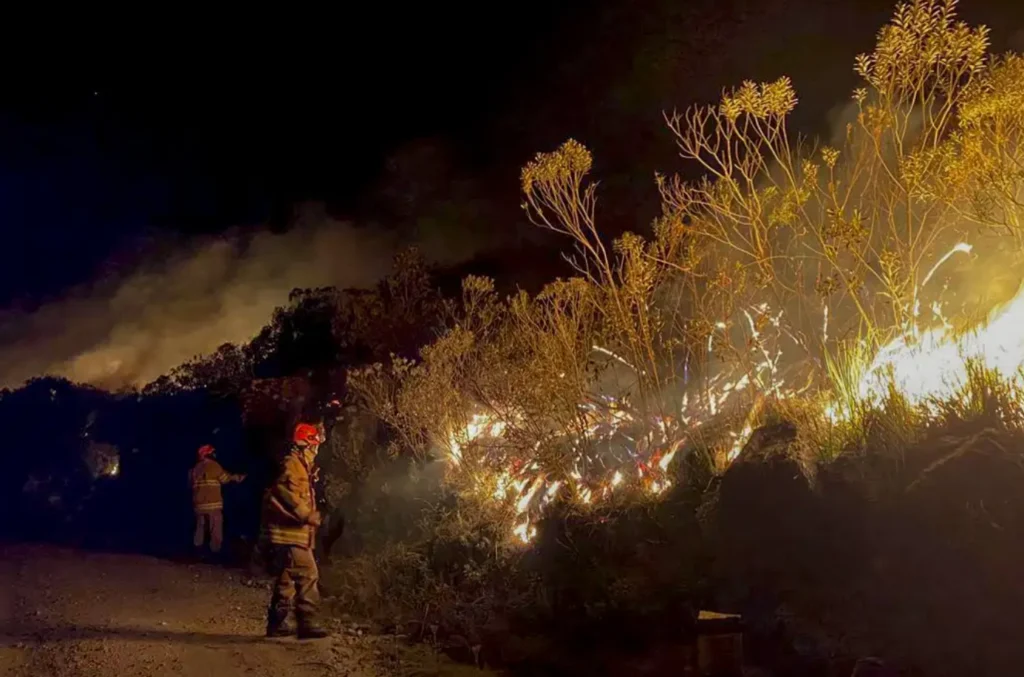 Brasil chamas clima extremo crime extremo