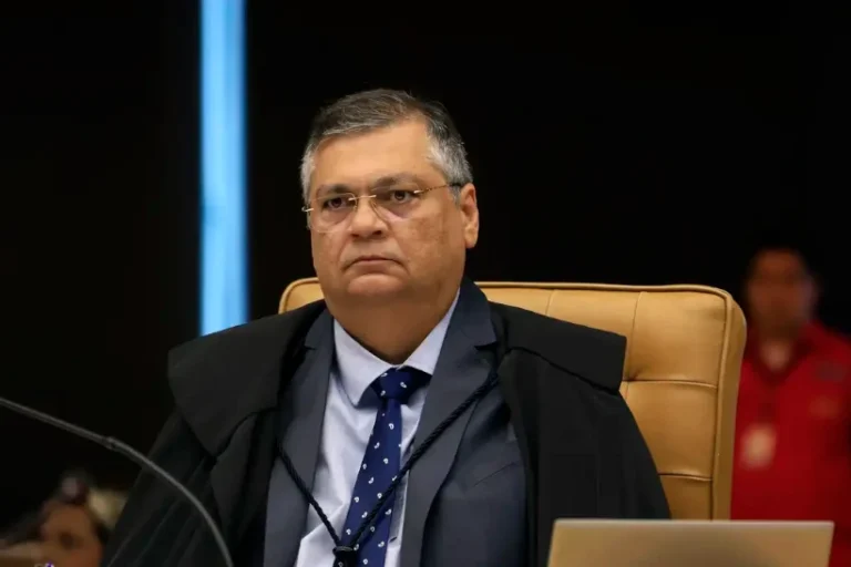 Brasil em Chamas Flávio Dino