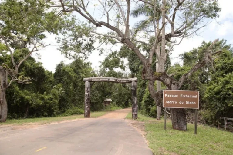 Brasil em Chamas UCs fechadas