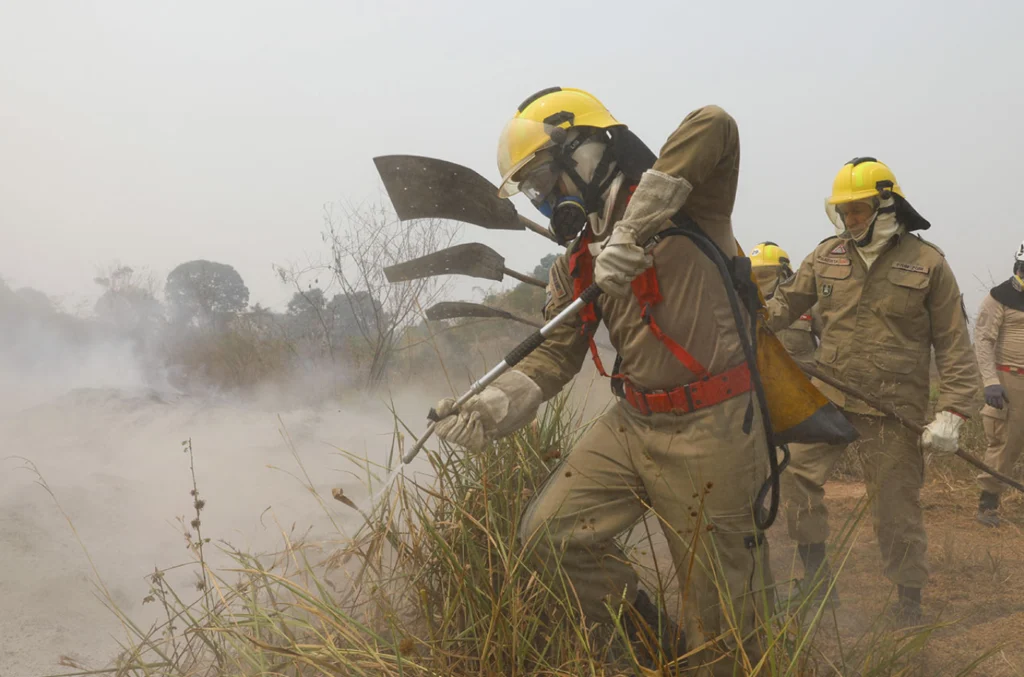 Desmatamento Amazônia agosto menor em 6 anos