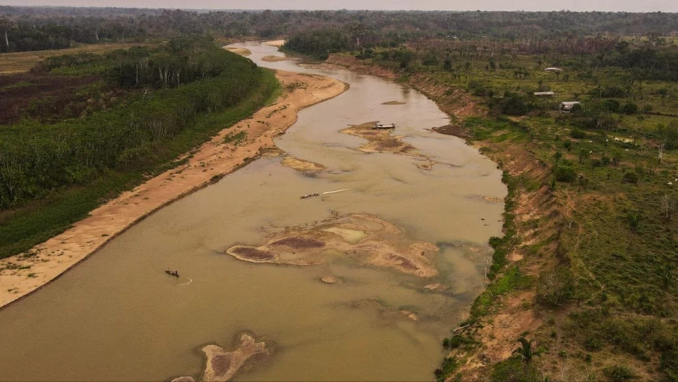 Dia da Amazônia 2024