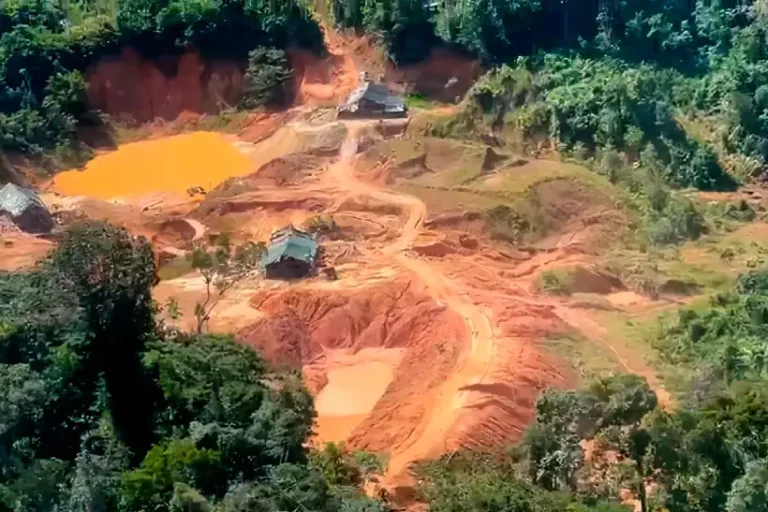 Garimpo ilegal ameaça Unidades de Conservação na Amazônia, alerta Greenpeace