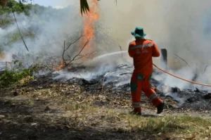 Lei do Manejo do Fogo