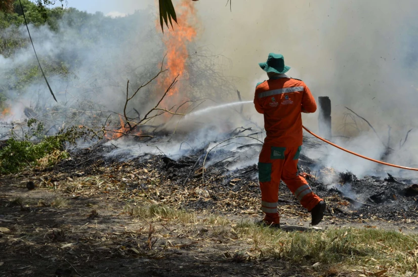 Lei do Manejo do Fogo