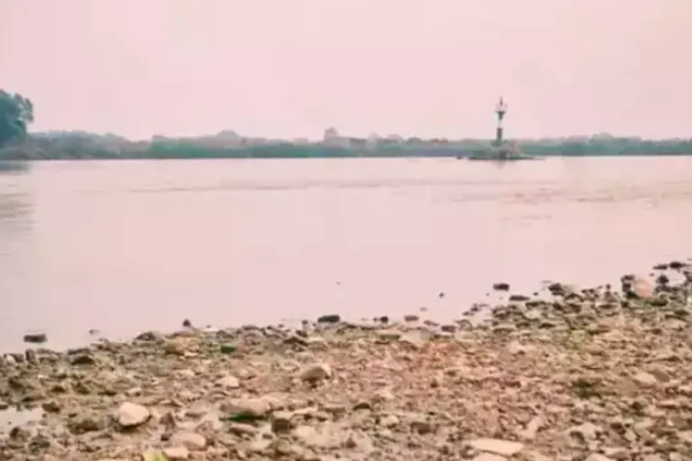 Pantanal seco rio Paraguai registra níveis negativos e projeções indicam pior estiagem da história