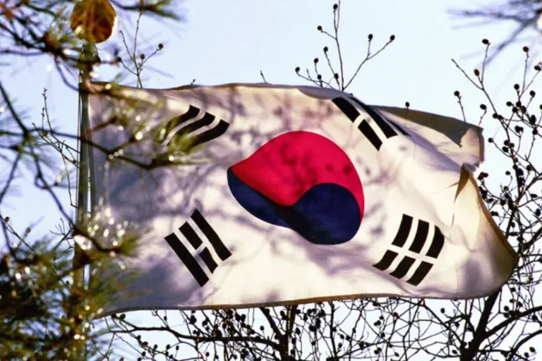 Tribunal Coreia do Sul metas climáticas não protegem gerações futuras