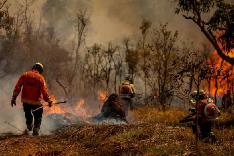 combate ao fogo orçamento