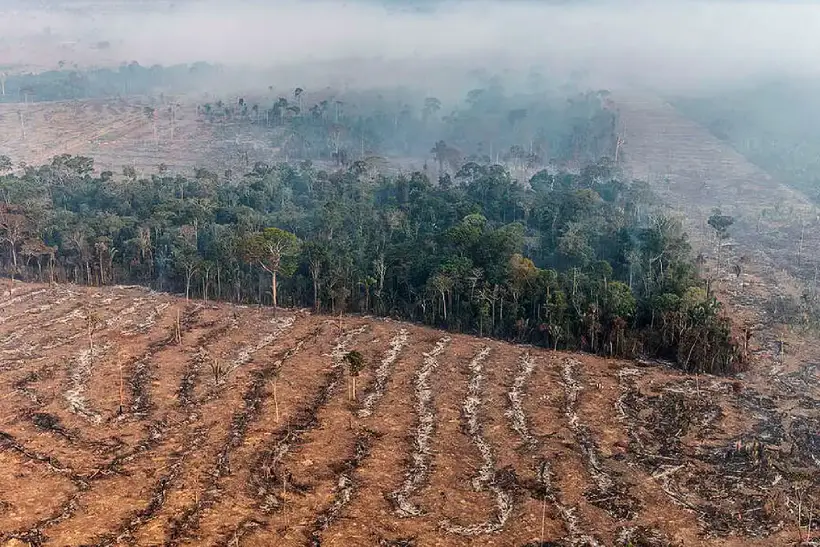 emissões queimadas crescem Amazônia