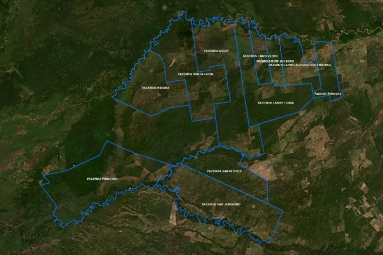 fazenda desmatamento Pantanal