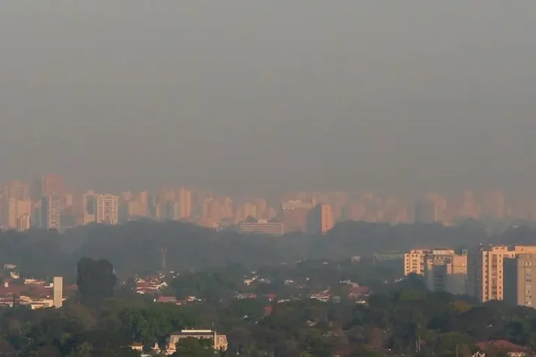 fumaça incêndios Brasil devido mudança padrão do vento
