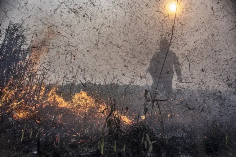 Ações judiciais cobrar dano climático desmatamento queimada