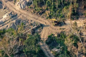 Amazônia fragmentada
