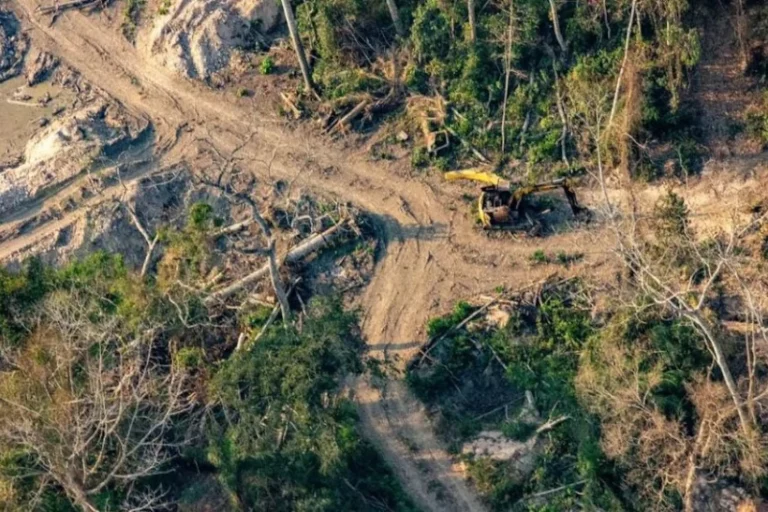 Amazônia fragmentada