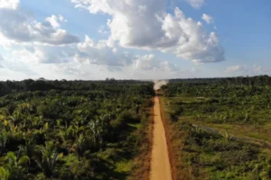 BR-319 estudos retomados