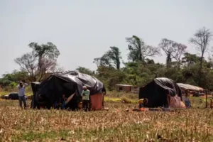 Bancada ruralista repete pressão e apresenta projeto de lei para mudar demarcação de Terras Indígenas