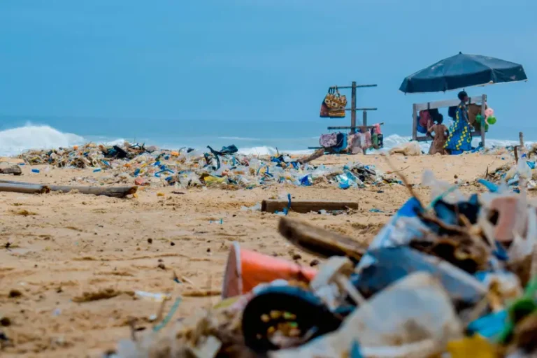 Brasil despeja toneladas de plástico nos oceanos