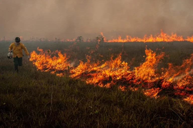 Brasil em Chamas novos focos
