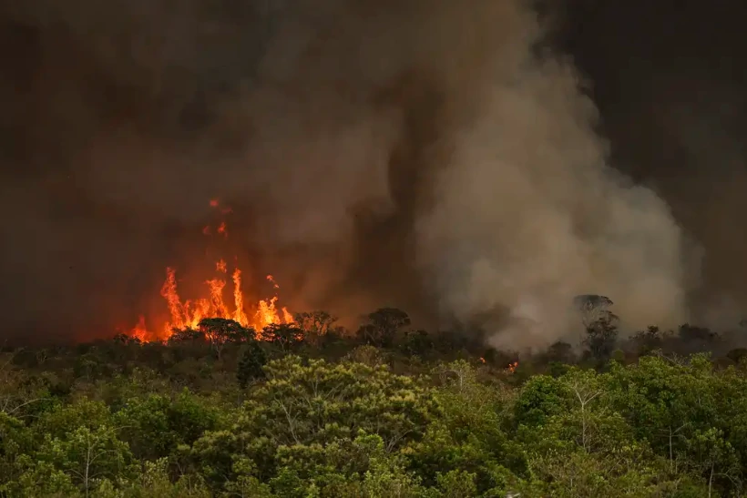 Brasil em chamas