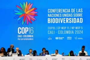COP16 financiamento