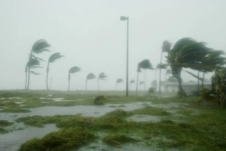 Clima extremo mortes furacões anos após desastre