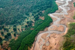 Governo libera quase 1 bi para combate a efeitos da seca e incêndios na Amazônia e no Pantanal