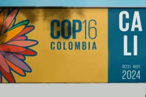 Indígenas e movimentos populares reivindicam repartição justa de benefícios de recursos genéticos na COP16