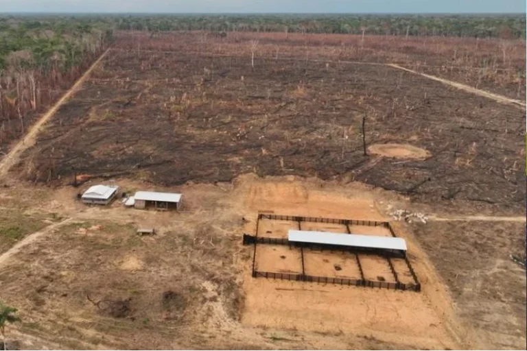 PF operação contra incêndios Amazonas dano 140 milhões
