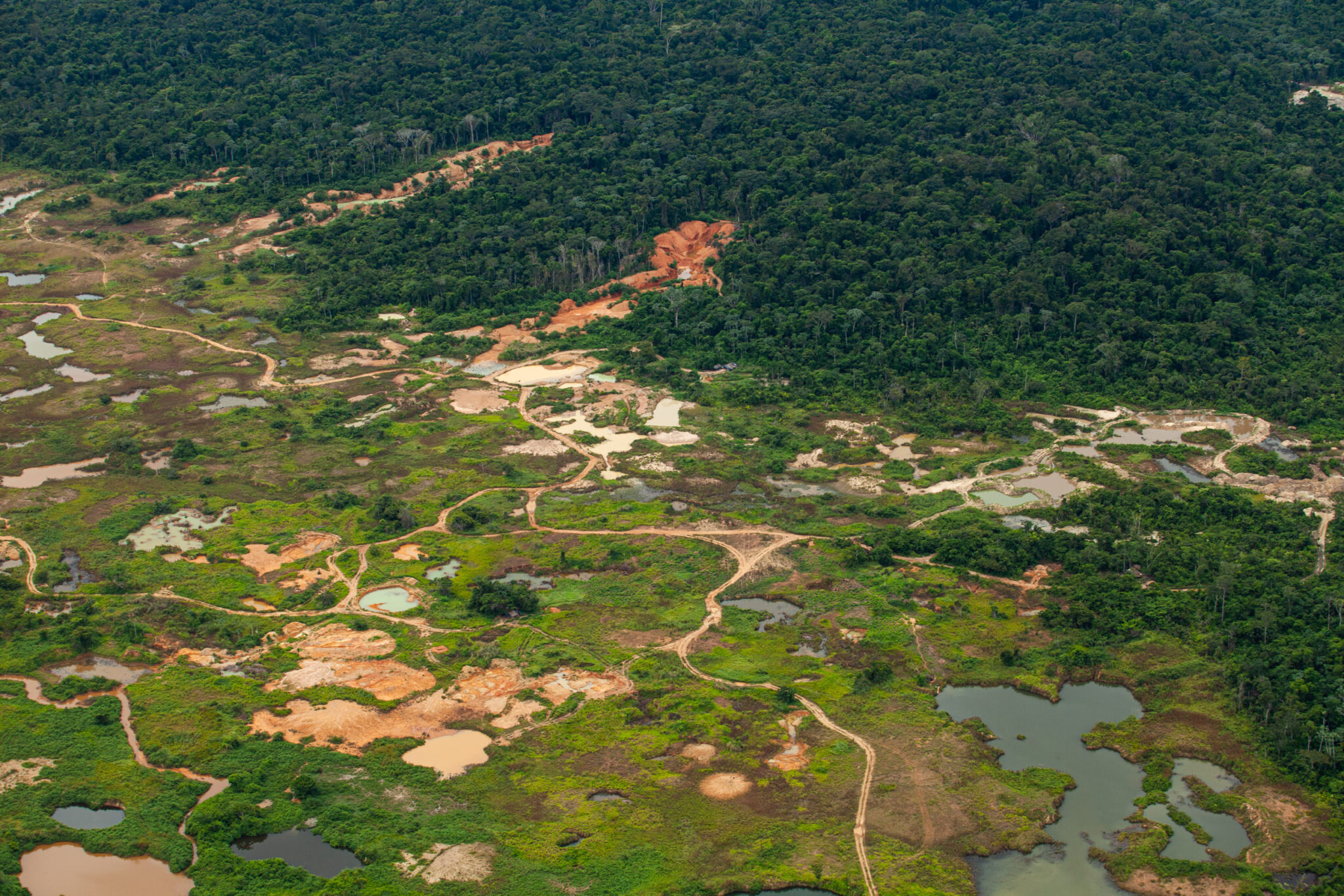Pará violência no campo.webp